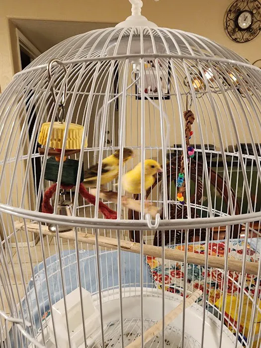 Tweety Brothers Pet Shop Picture 2