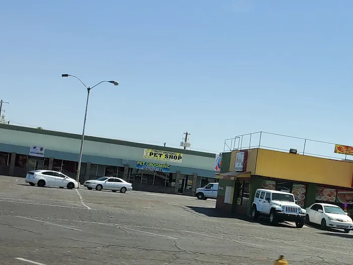 Tweety Brothers Pet Shop Picture 1