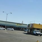 Tweety Brothers Pet Shop
