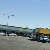 Tweety Brothers Pet Shop ico