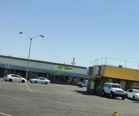 Tweety Brothers Pet Shop