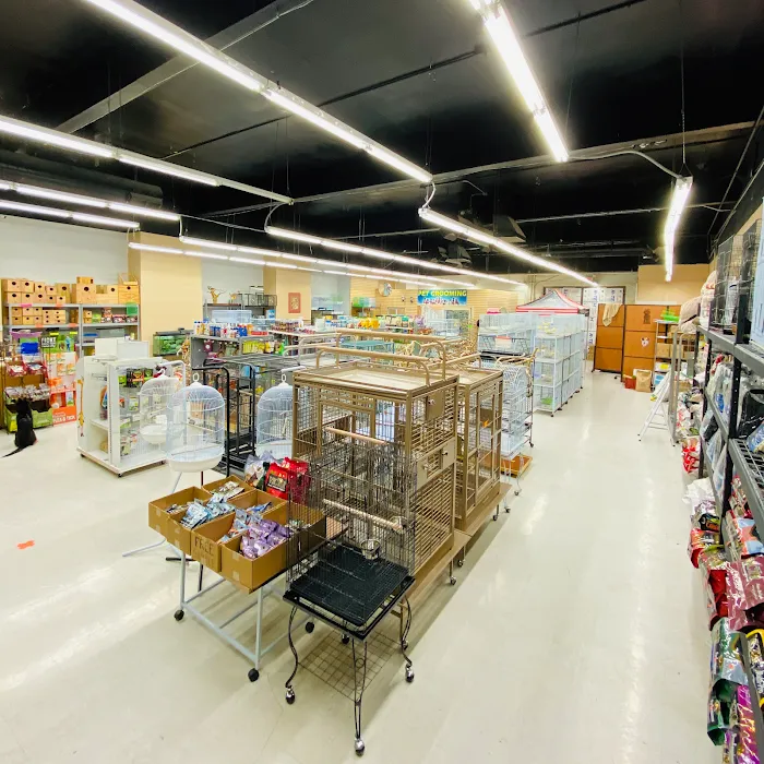 Tweety Brothers Pet Shop Picture 5