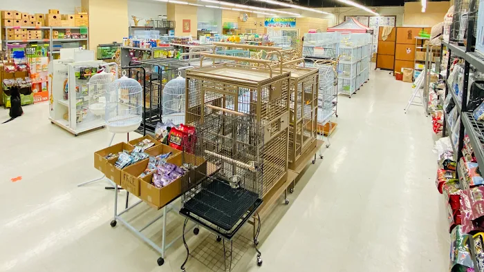 Tweety Brothers Pet Shop Picture 3