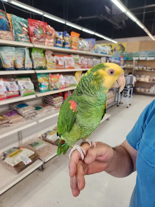 Tweety Brothers Pet Shop Picture 6