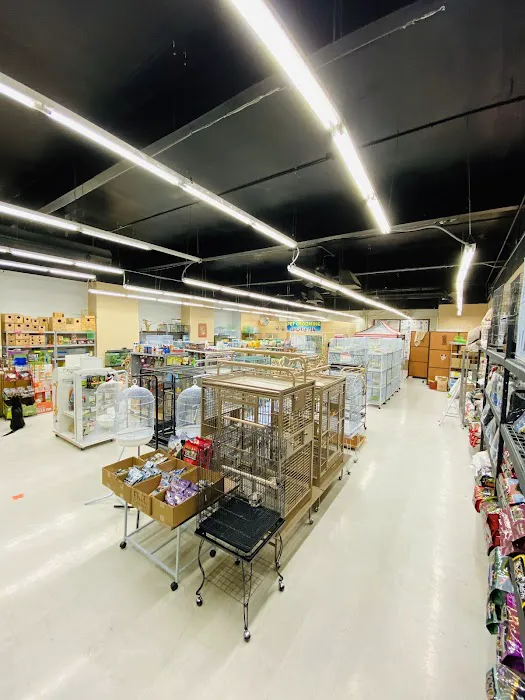 Tweety Brothers Pet Shop Picture 8