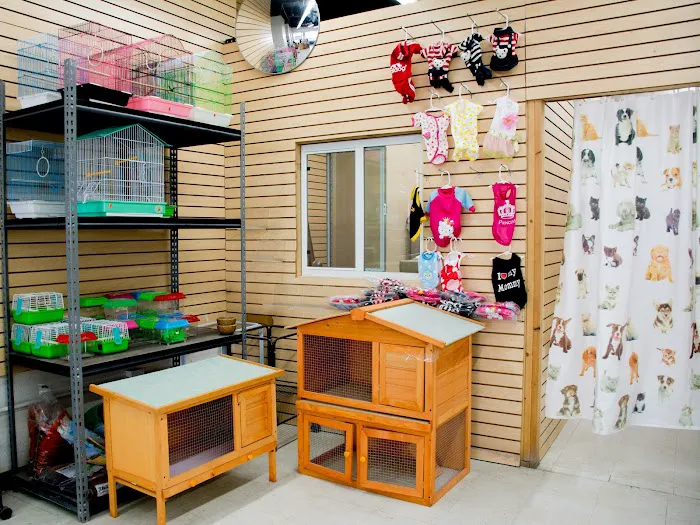 Tweety Brothers Pet Shop Picture 9