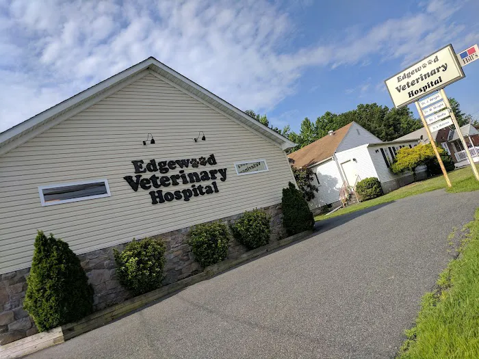 Edgewood Veterinary Hospital Picture 2