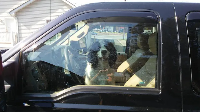 Edgewood Veterinary Hospital Picture 4