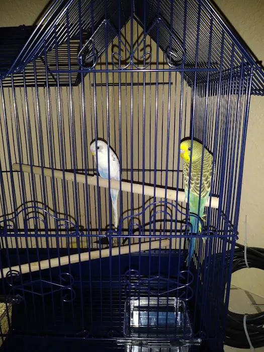 Petco Picture 9