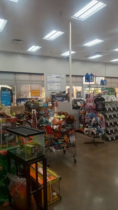 Petco Picture 7