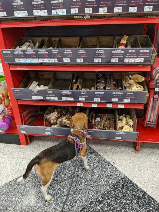 Petco Picture 10