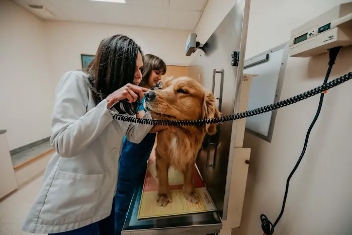 Fallston Veterinary Clinic Picture 1