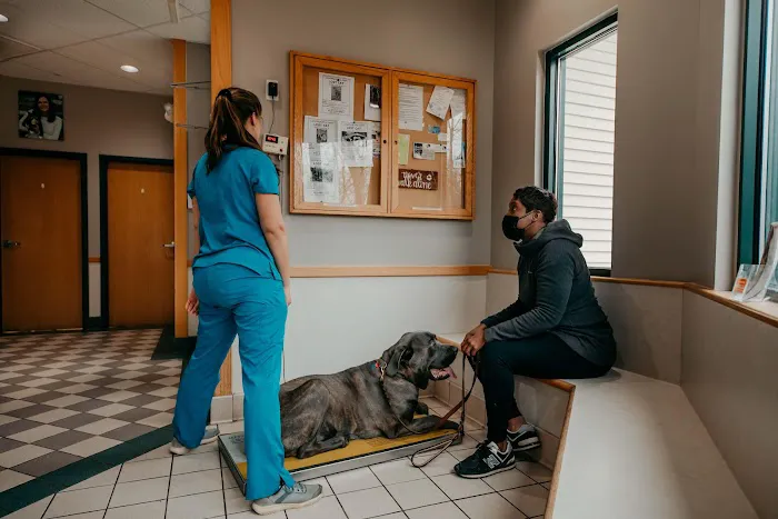 Fallston Veterinary Clinic Picture 7