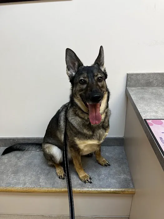 Fallston Veterinary Clinic Picture 6