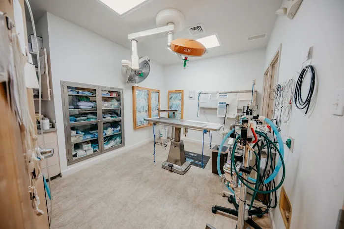 Fallston Veterinary Clinic Picture 5