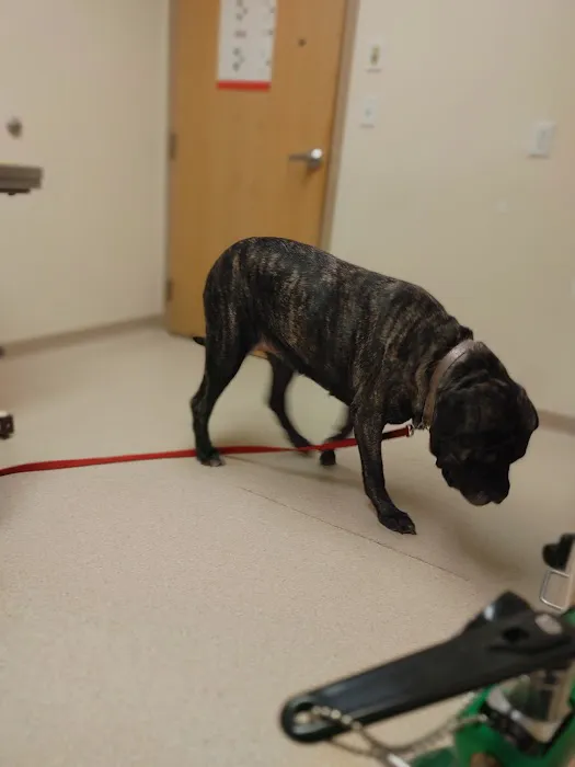 Fallston Veterinary Clinic Picture 10