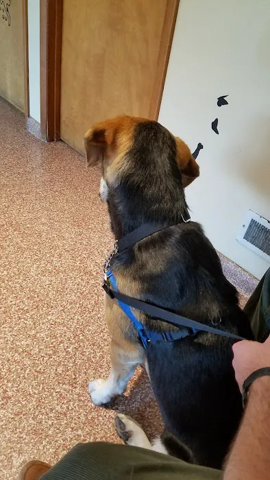 Chestertown Animal Hospital Picture 10