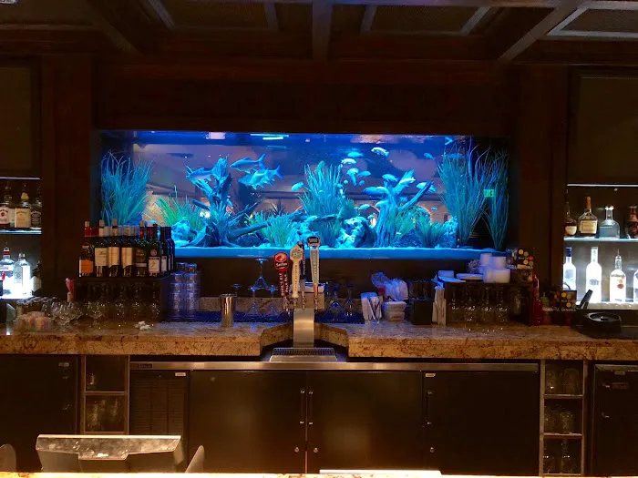 Limited Edition Corals Aquariums Picture 1