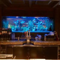 Limited Edition Corals Aquariums ico