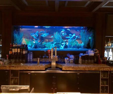 Limited Edition Corals Aquariums