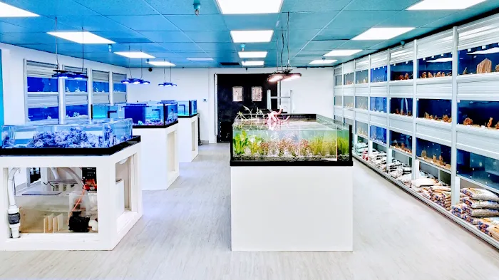 Limited Edition Corals Aquariums Picture 3