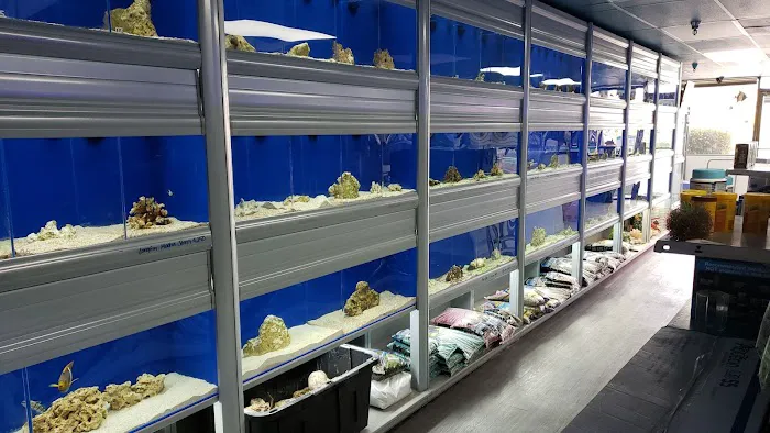 Limited Edition Corals Aquariums Picture 6