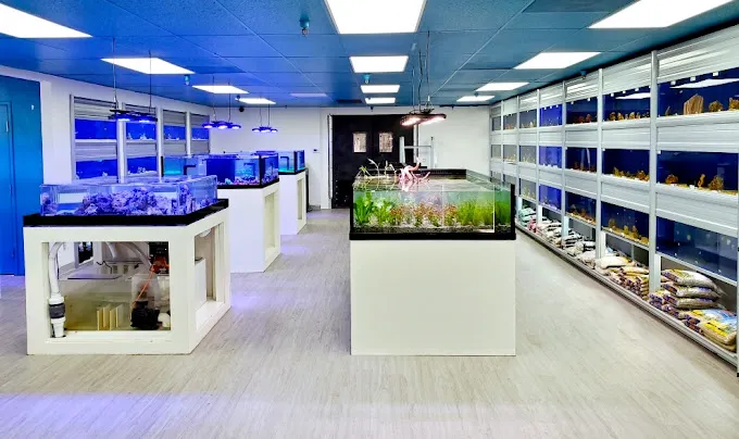 Limited Edition Corals Aquariums Picture 9