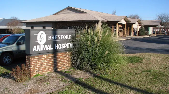 Brenford Animal Hospital Picture 3