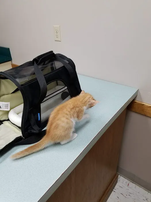 Brenford Animal Hospital Picture 6