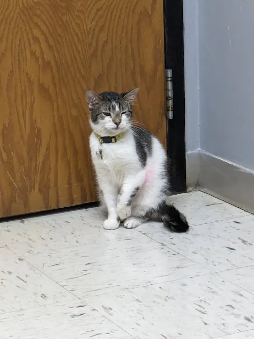 Brenford Animal Hospital Picture 10