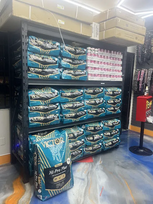 Steady’s Petshop Picture 2