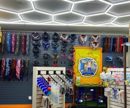 Steady’s Petshop