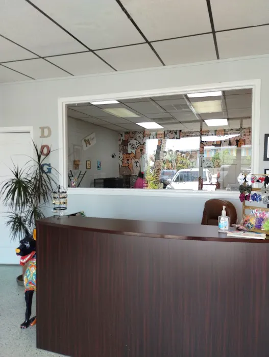 Le Doggie Pet Grooming Picture 4