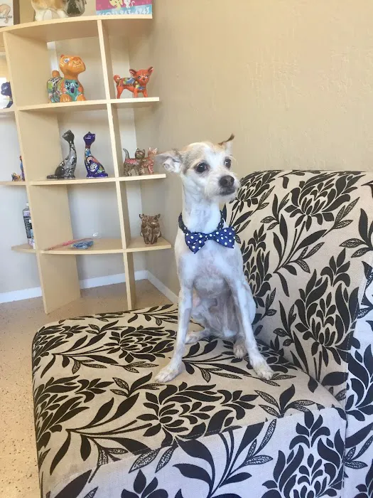 Le Doggie Pet Grooming Picture 6