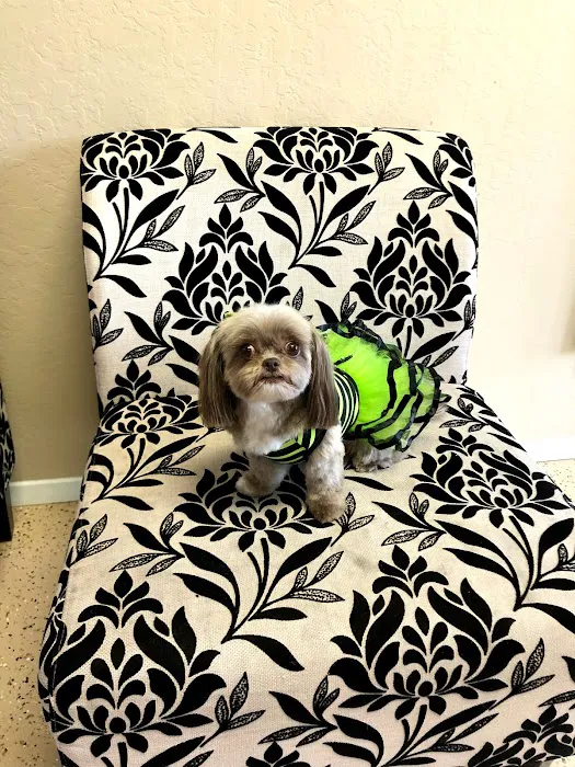Le Doggie Pet Grooming Picture 9