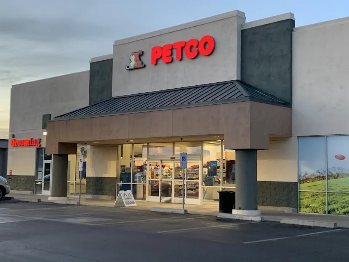 Petco Picture 2