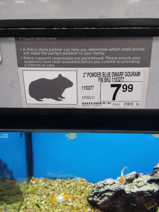 Petco Picture 8
