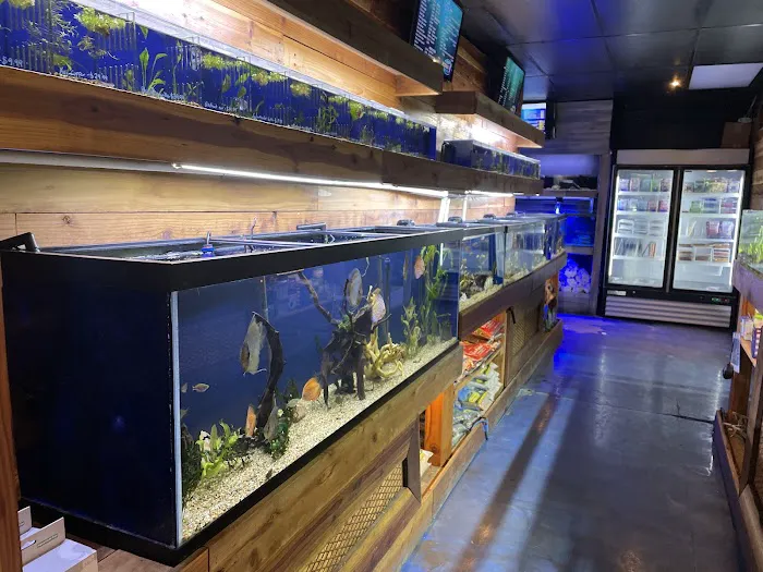 Kona Reef Az - Phoenix Picture 1