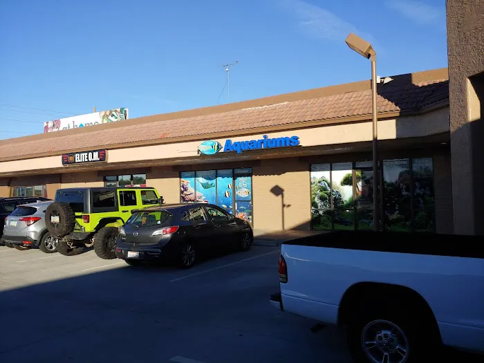 Kona Reef Az - Phoenix Picture 3