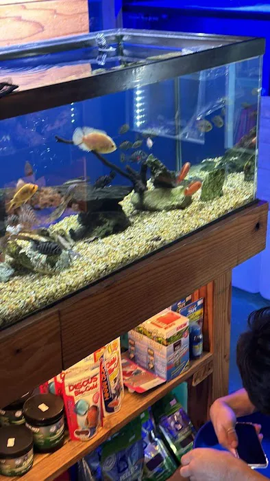 Kona Reef Az - Phoenix Picture 6