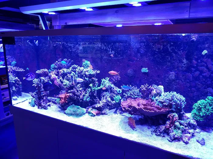 Kona Reef Az - Phoenix Picture 4