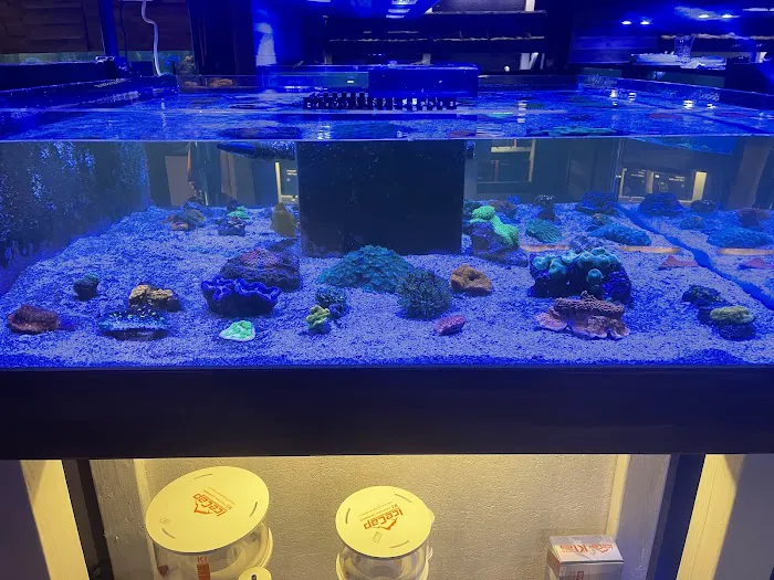 Kona Reef Az - Phoenix Picture 7