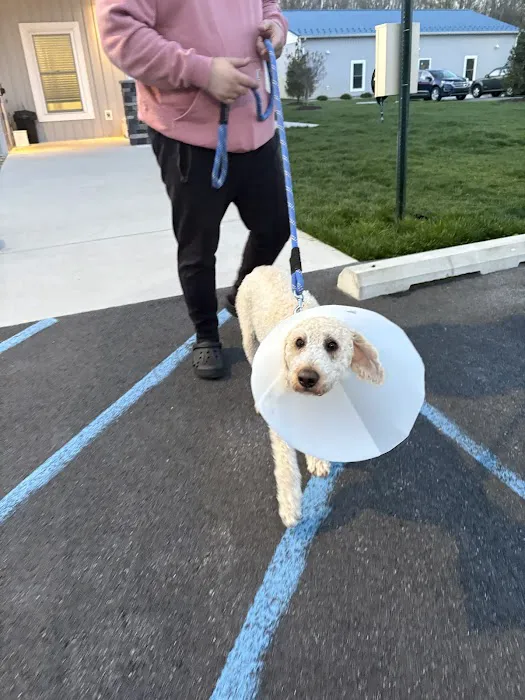 Forrest Avenue Animal Hospital Picture 1