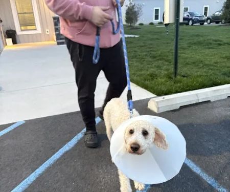 Forrest Avenue Animal Hospital