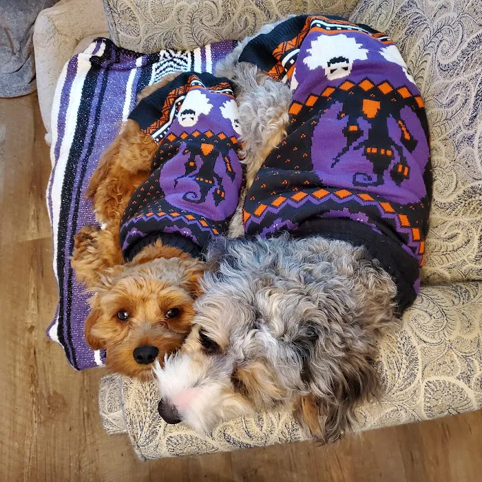 Forrest Avenue Animal Hospital Picture 3