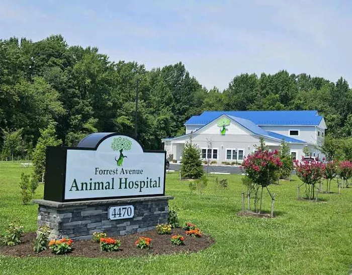 Forrest Avenue Animal Hospital Picture 9