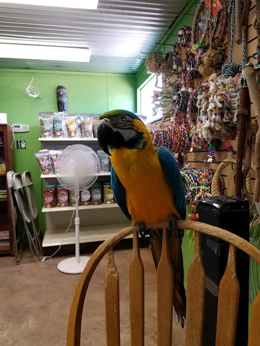 Just Beak-Cause, Inc. Picture 1
