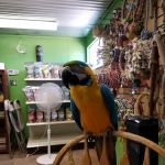 Just Beak-Cause, Inc.