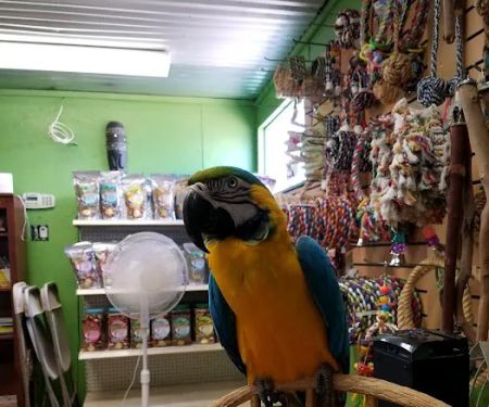 Just Beak-Cause, Inc.