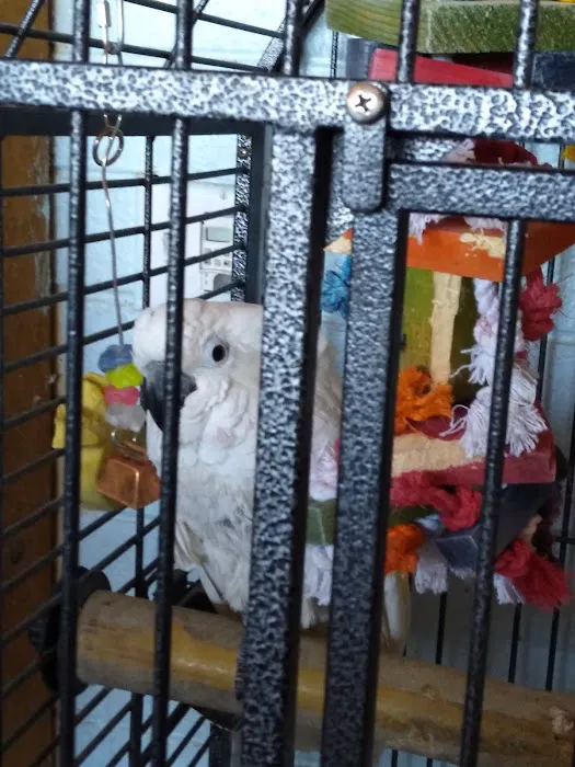 Just Beak-Cause, Inc. Picture 7